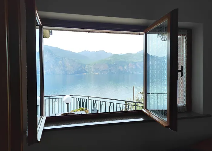 The View House